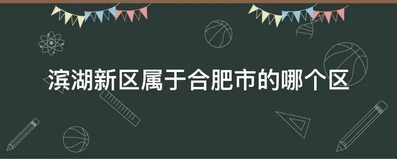 滨湖新区属于合肥市的哪个区