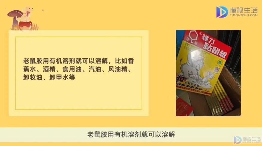 粘上老鼠胶怎样去除
