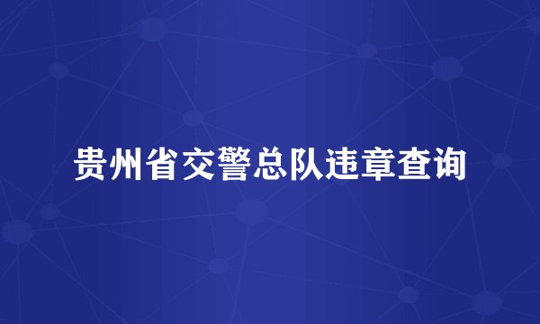贵州省交警总队违章查询