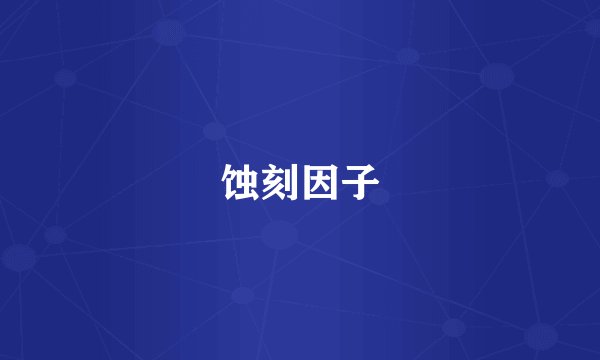 蚀刻因子
