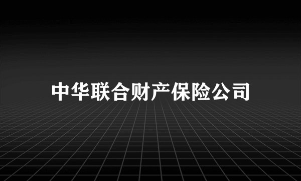 中华联合财产保险公司