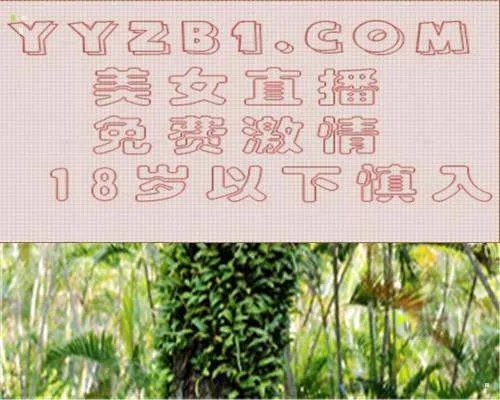什么聊天软件最好用? 必须无广告、无插件、占用自然少、保密性强