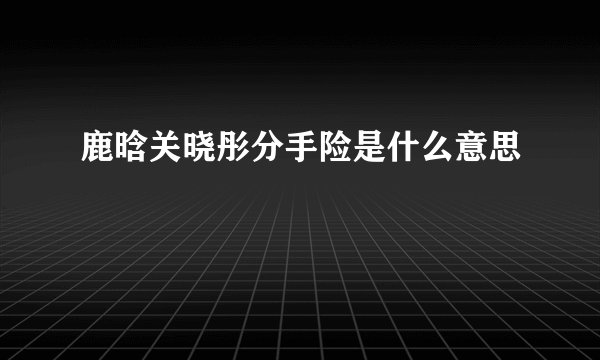 鹿晗关晓彤分手险是什么意思