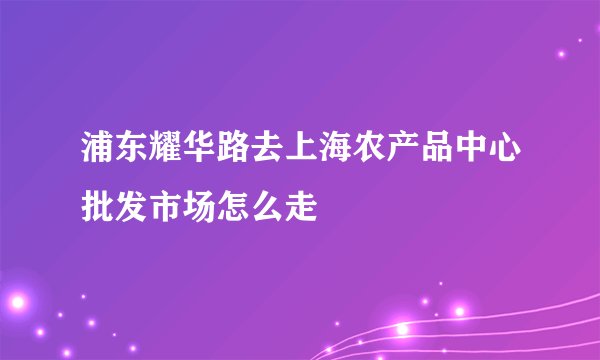 浦东耀华路去上海农产品中心批发市场怎么走