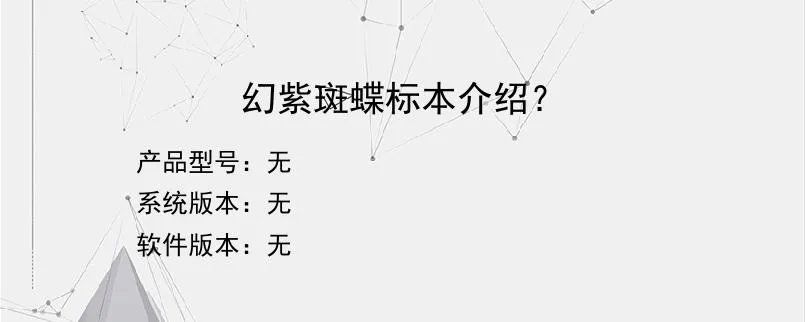 幻紫斑蝶标本介绍？