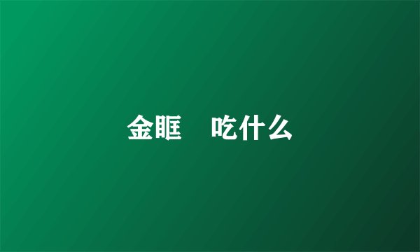 金眶鸻吃什么