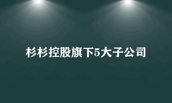 杉杉控股旗下5大子公司