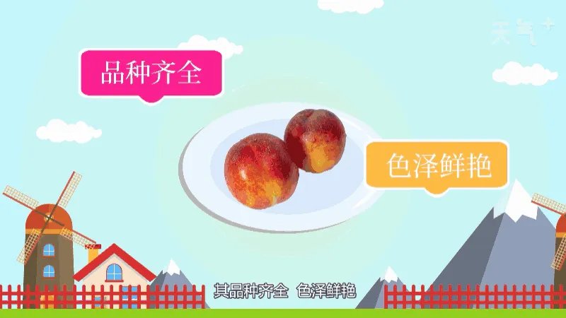 安徽省砀山县十大特产