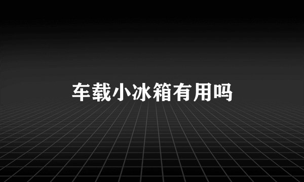 车载小冰箱有用吗