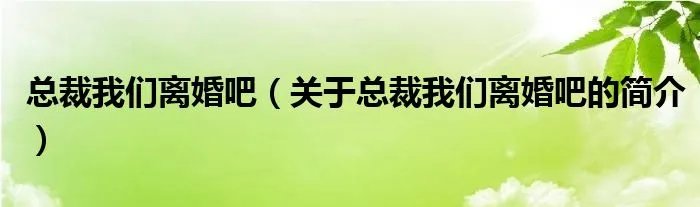 总裁我们离婚吧（关于总裁我们离婚吧的简介）