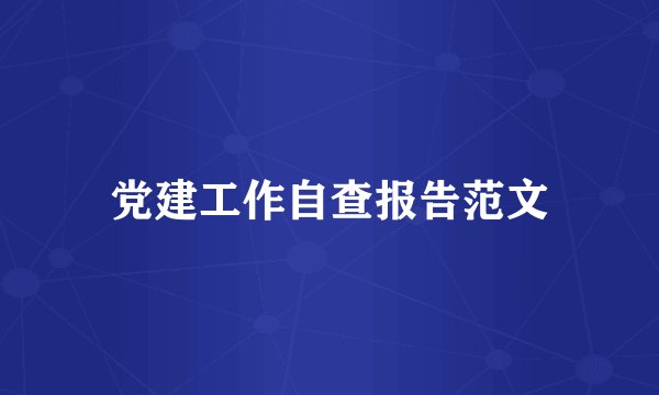 党建工作自查报告范文