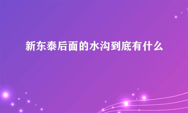 新东泰后面的水沟到底有什么