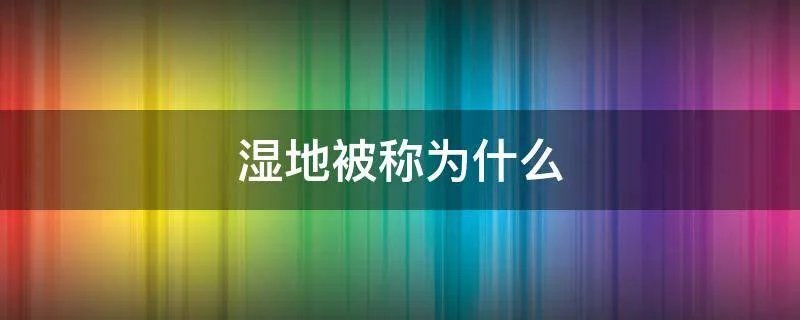 湿地被称为什么