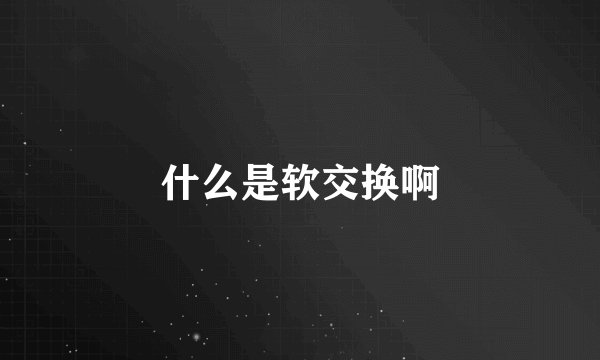 什么是软交换啊