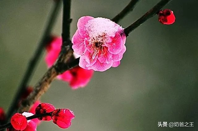请问文史、文学、文化三者之间的区别与联系？