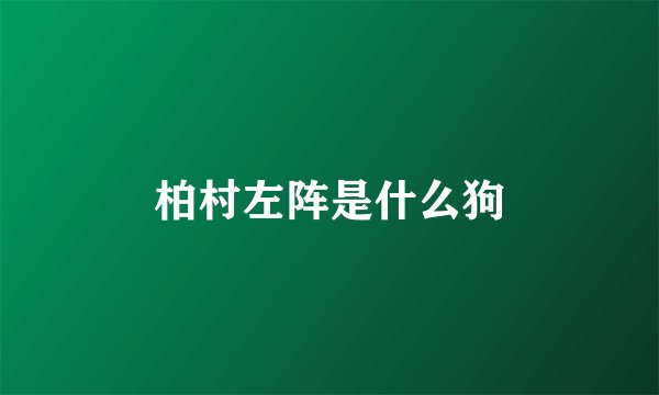 柏村左阵是什么狗