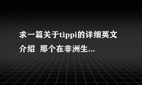 求一篇关于tippi的详细英文介绍  那个在非洲生活的法国小女孩