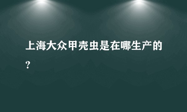 上海大众甲壳虫是在哪生产的？