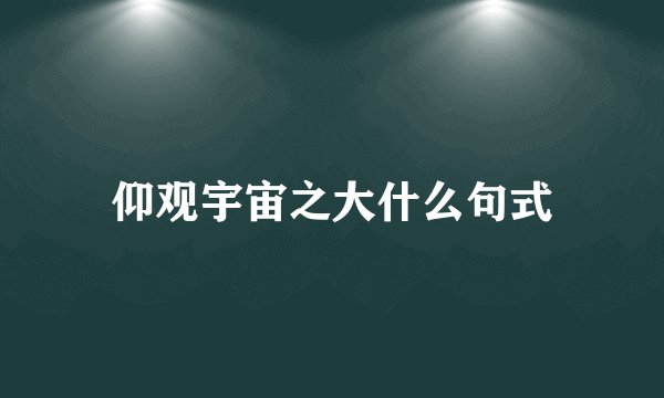 仰观宇宙之大什么句式