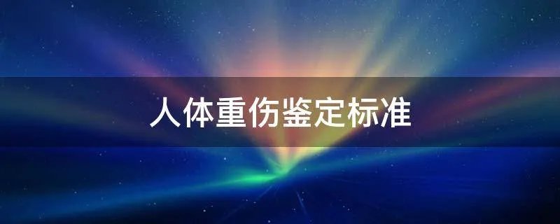 人体重伤鉴定标准