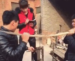 大家分享一下最搞笑的头像图片？
