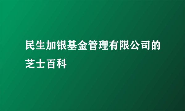 民生加银基金管理有限公司的芝士百科