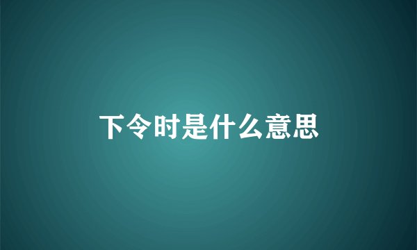 下令时是什么意思