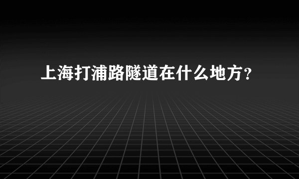 上海打浦路隧道在什么地方？
