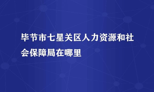 毕节市七星关区人力资源和社会保障局在哪里