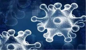 研究生读古生物学是怎样一种体验?