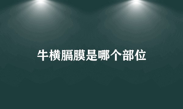 牛横膈膜是哪个部位