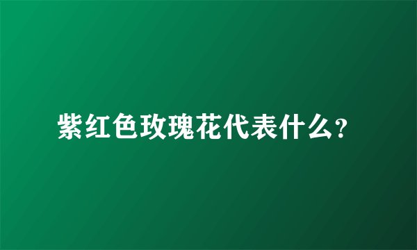 紫红色玫瑰花代表什么？