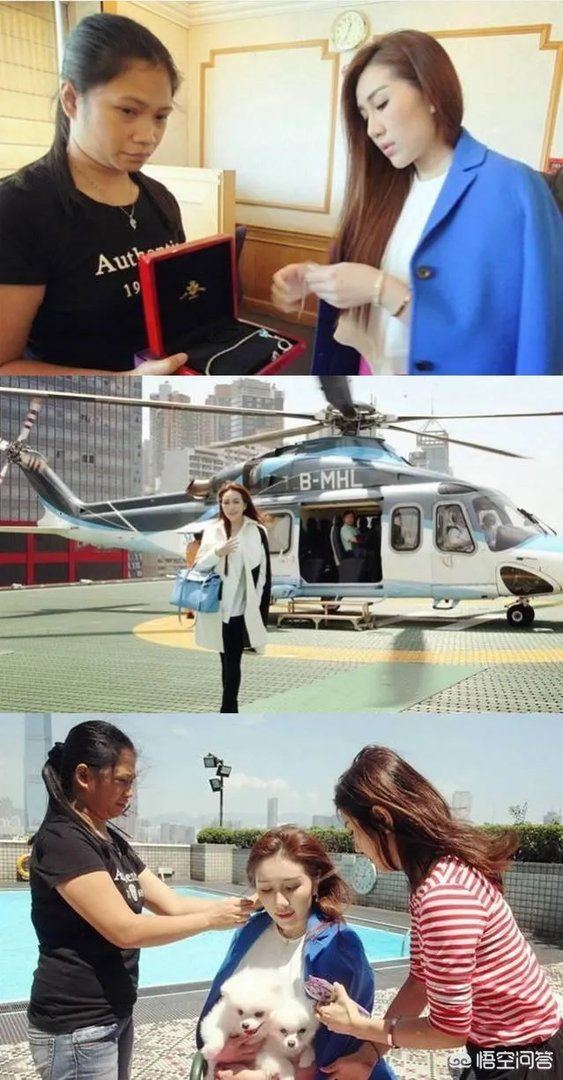 普通女生有什么途径可以成为名媛?