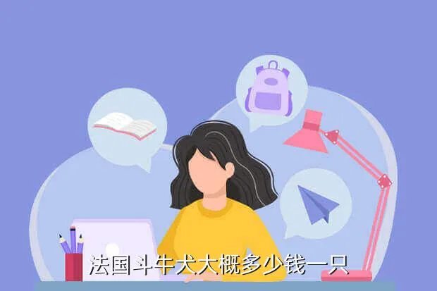 比特斗牛犬多少钱一只,法国斗牛犬大概多少钱一只