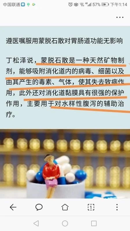 猫咪吃完猫薄荷吐了