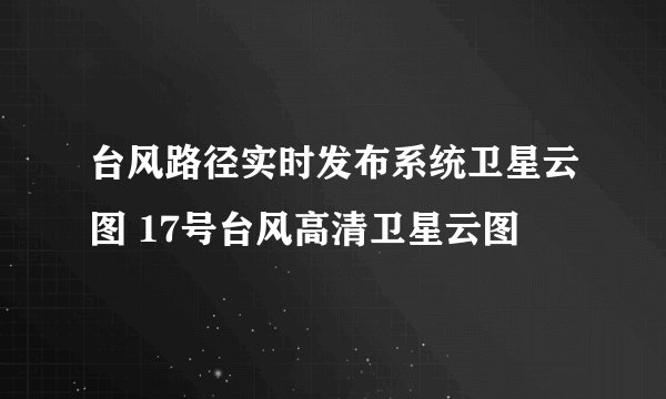 台风路径实时发布系统卫星云图 17号台风高清卫星云图