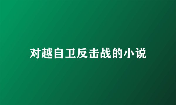 对越自卫反击战的小说