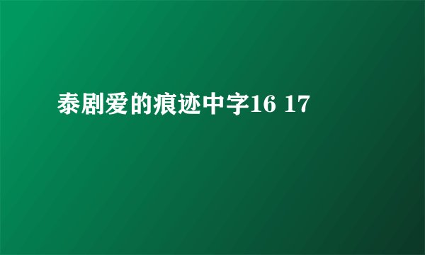 泰剧爱的痕迹中字16 17