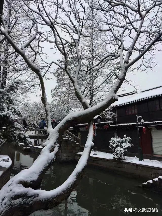 5 从杭州怎么到乌镇?
