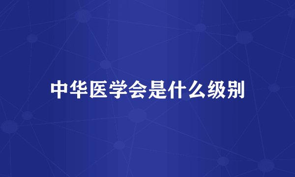中华医学会是什么级别