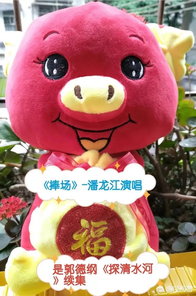 德云社的相声专场为什么能开几万人的场子?坐在后排的观众会过瘾吗?