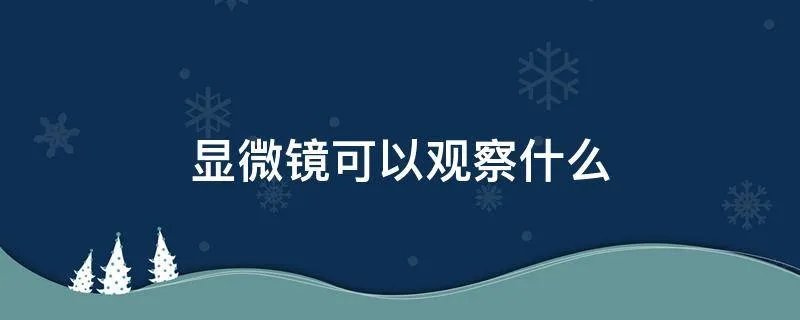 显微镜可以观察什么