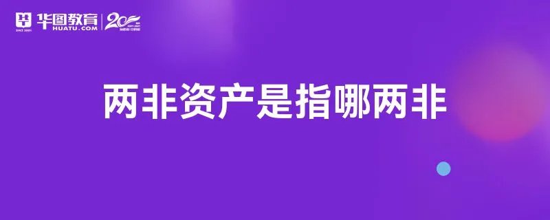 两非资产是指哪两非