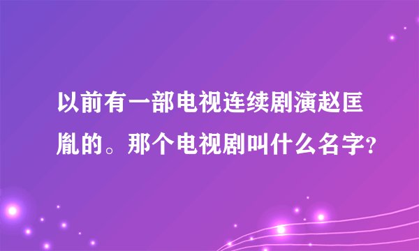 以前有一部电视连续剧演赵匡胤的。那个电视剧叫什么名字?