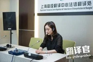 如何评价《亲爱的翻译官》这部电视剧?