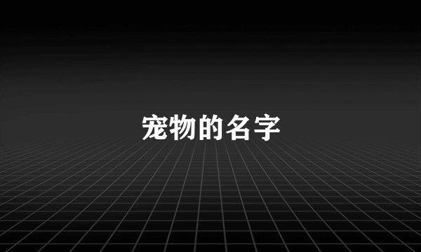 宠物的名字