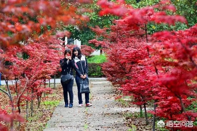 湖北黄冈师范学院是一所什么档次的师范类大学？
