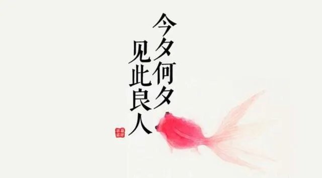 黄小蕾是谁？