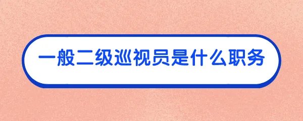 一般二级巡视员是什么职务