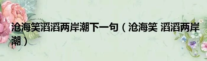 沧海笑滔滔两岸潮下一句（沧海笑 滔滔两岸潮）